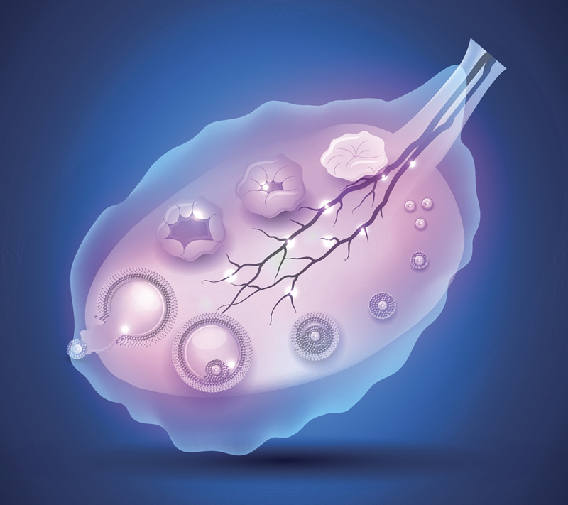 台州哪个医院试管助孕好（台州试管婴儿医院排名较好）